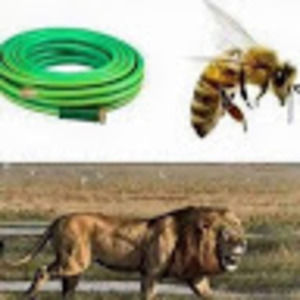 Meet your Posher, Gideon